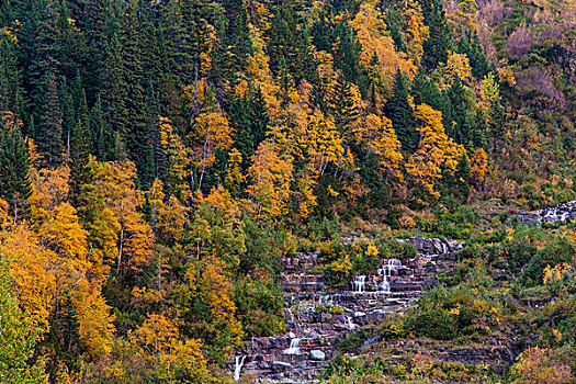 瀑布,山,秋天,冰川国家公园,蒙大拿,美国