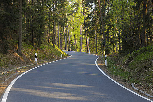 道路,树林,奥登瓦尔德,黑森州,德国