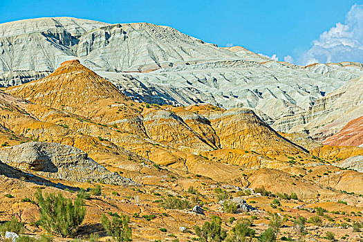 山,国家公园,阿拉木图,区域,哈萨克斯坦,亚洲