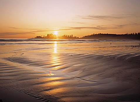 日落,长滩,环太平洋国家公园,温哥华岛,不列颠哥伦比亚省,加拿大
