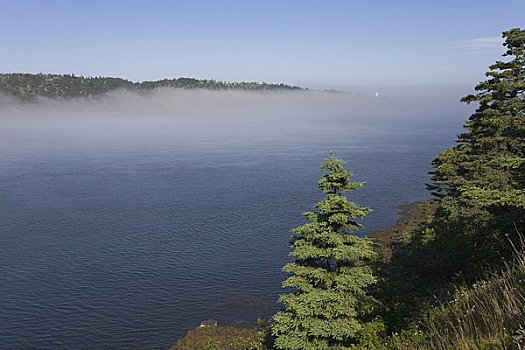 雾,新斯科舍省,加拿大