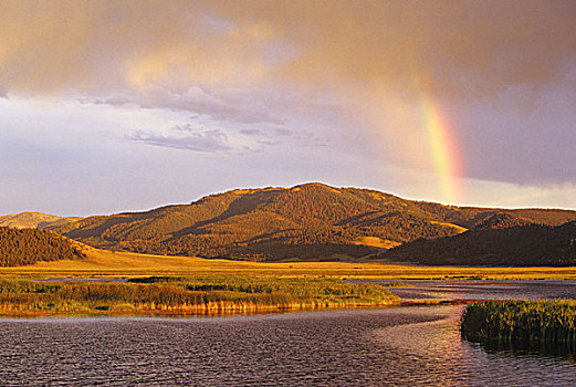 彩虹,上方,水塘,红岩,蒙大拿,美国