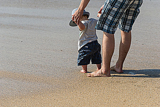 父亲,孩子,儿子,海滩,第一,时间