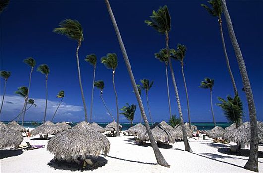 遮阳伞,折叠躺椅,棕榈海滩,干盐湖,靠近,蓬塔卡纳,多米尼加共和国,加勒比海