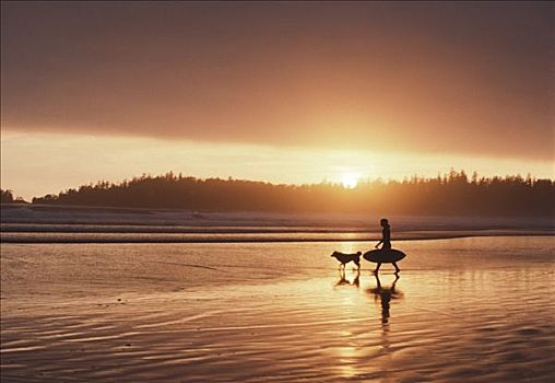 环太平洋国家公园,孤单,冲浪,走,狗,海岸,加拿大,不列颠哥伦比亚省
