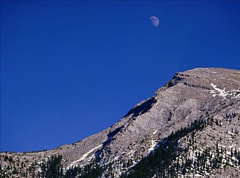 月亮,上方,山,班芙,艾伯塔省,加拿大