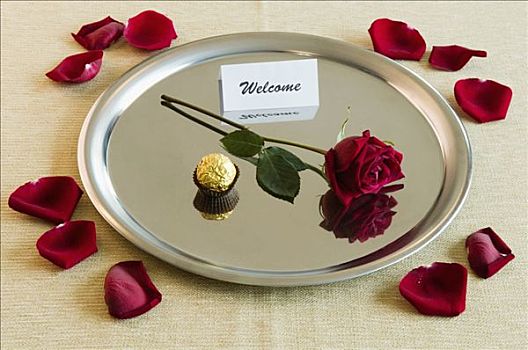 特写,玫瑰,甜食,欢迎,记事本,盘子