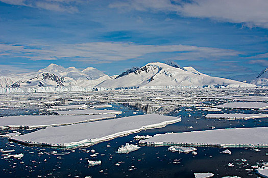 南极,南,圆,靠近,阿德莱德,岛屿,浮冰