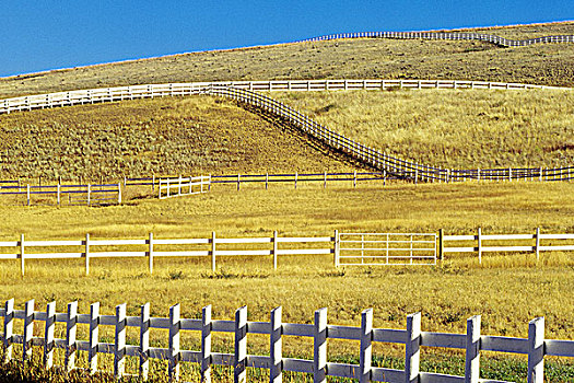 栏杆,牧场,区域,不列颠哥伦比亚省,加拿大