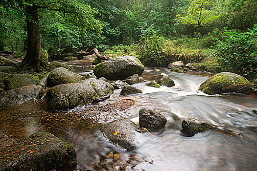 瀑布,风景,达特姆尔高原,国家公园,英格兰