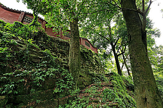 成都,嵩州市大明寺