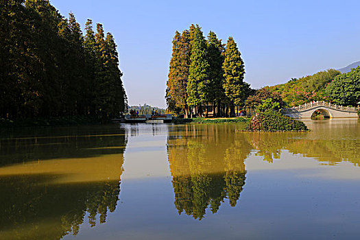 广东星湖湿地公园
