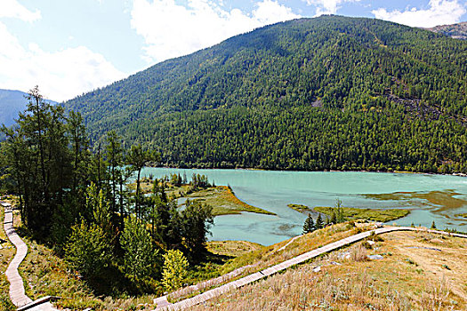 新疆,阿勒泰,喀纳斯湖,自然风景,旅行