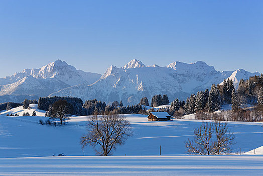 冬季风景,山,巴伐利亚,德国,欧洲