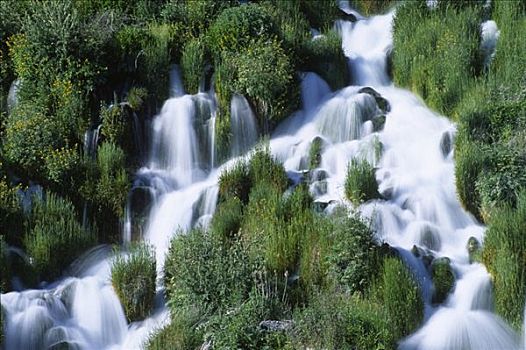 水,流动,树林,尼亚加拉,春天,州立公园,爱达荷,美国