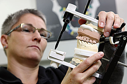 牙齿,实验室,制造,假肢,技工,控制,工作,颚部,移动,模拟器