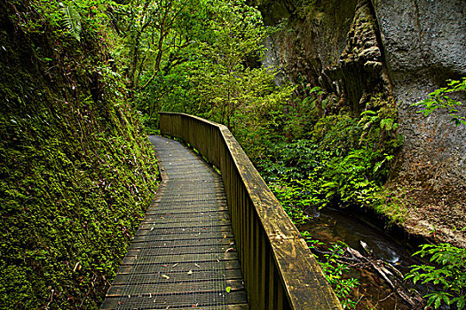 天然石桥,河流,地区,北岛,新西兰
