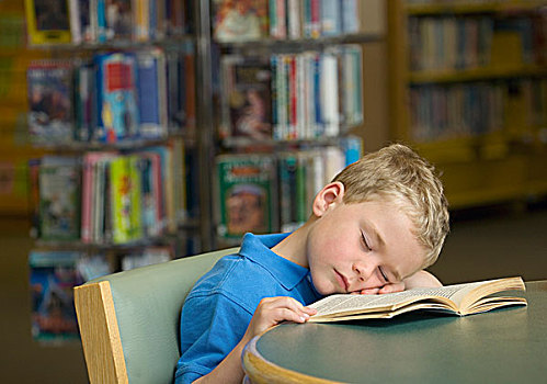 男孩,睡觉,读,图书馆