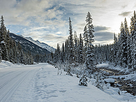 积雪,道路,山脉,玛琳湖,碧玉国家公园,艾伯塔省,加拿大