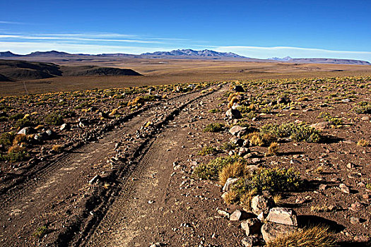 碎石路,阿塔卡马沙漠,高原,南美