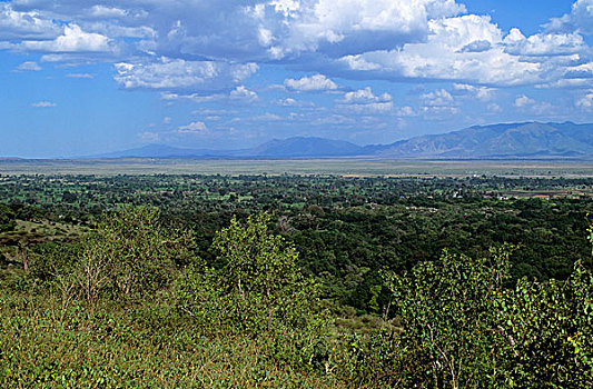 坦桑尼亚,靠近,大裂谷