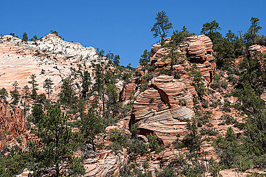 砂岩,岩石构造,峡谷,俯瞰,小路,锡安国家公园,犹他,美国,北美