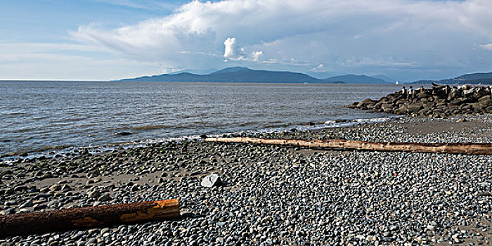 原木,鹅卵石,残骸,海滩,前滩,小路,温哥华,不列颠哥伦比亚省,加拿大