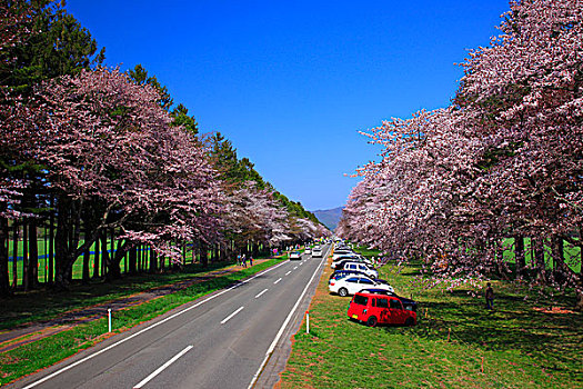 道路