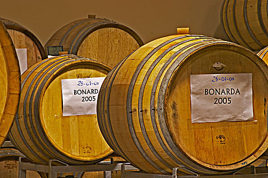 橡木桶,标识,2005年,酒栈,葡萄酒厂,庄园,区域,巴塔哥尼亚,阿根廷,南美