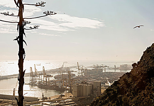 俯视图,港口,船,起重机,巴塞罗那,西班牙