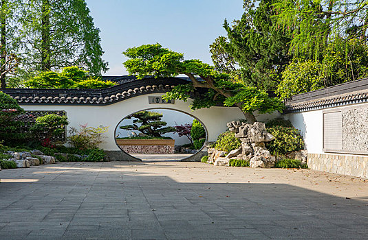 上海植物园盆景园