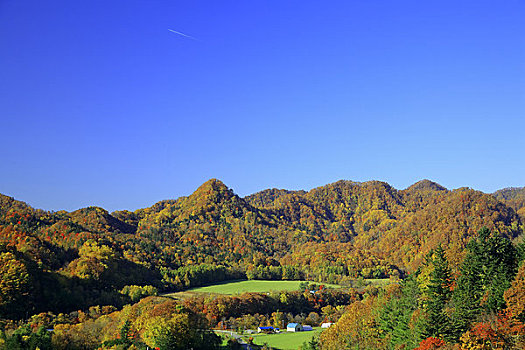 山峦,彩色