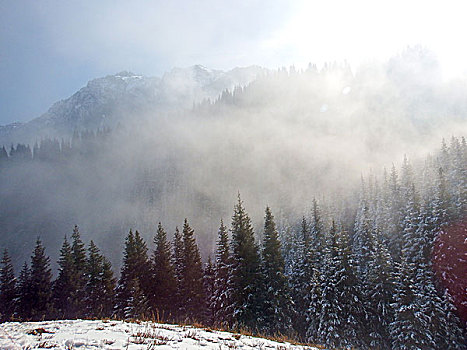 冬季的乌鲁木齐南山