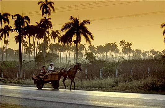 困境,公路,晨光,古巴