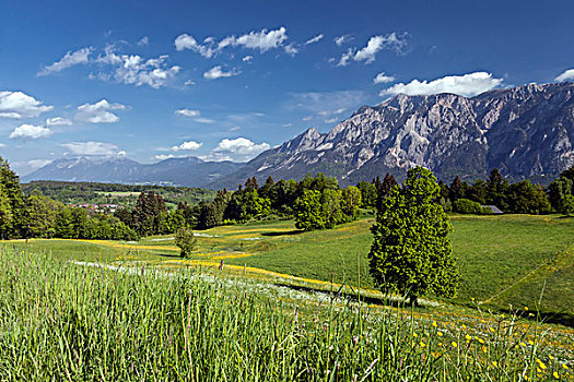风景,山丘,南方,卡林西亚,奥地利