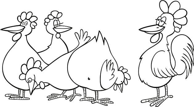 公鸡,母鸡,上色画册
