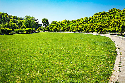 绿色城市公园