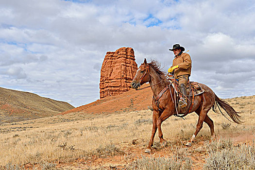 牛仔,骑,马,石头,背景,壳,怀俄明,美国