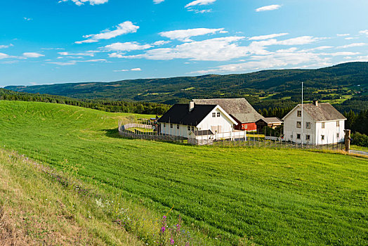 挪威,郊区住宅,草地,山