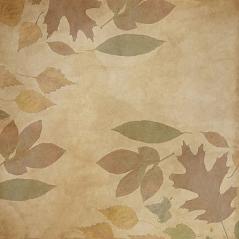 背景,深褐色,叶子,材质,手制