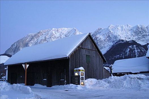 母牛,小屋,山,小,乡村,靠近,越野滑雪,中心,坏,施蒂里亚,奥地利