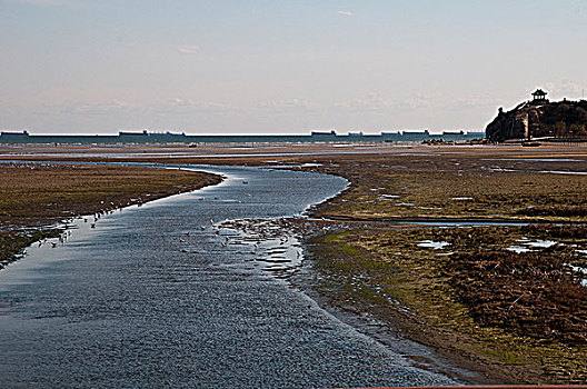 北戴河海滨湿地