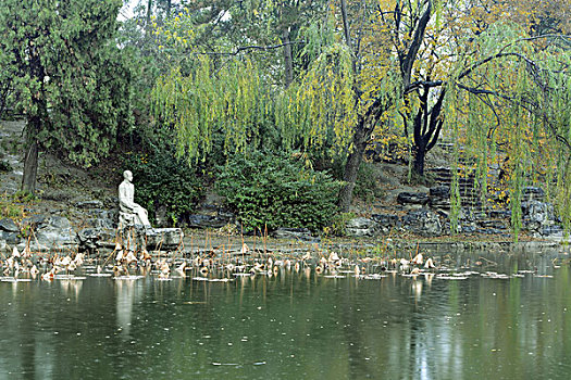 清华大学-矗立于荷塘边的朱自清汉白玉塑像