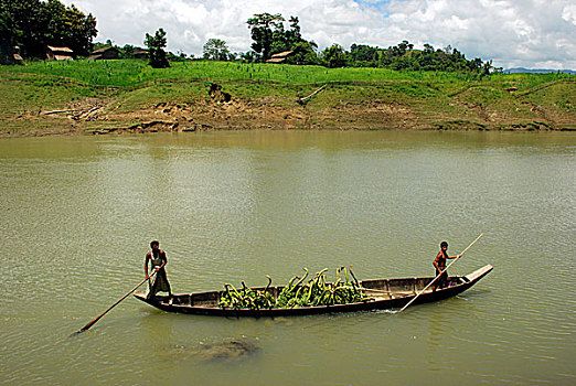 河,一个,山,孟加拉,七月,2008年