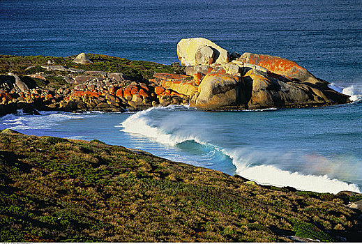 波浪,岩石,海岸线,威廉山国家公园,火焰湾,塔斯马尼亚,澳大利亚