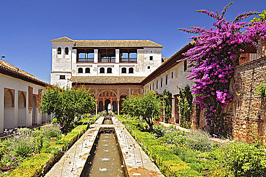 喷泉,花园,阿尔罕布拉宫,格拉纳达,安达卢西亚,西班牙