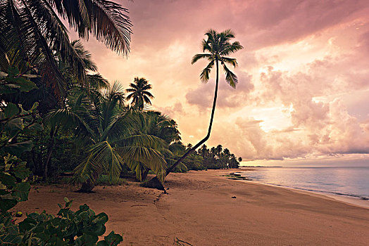 加勒比,梦幻爱情海滩,日落,波多黎各