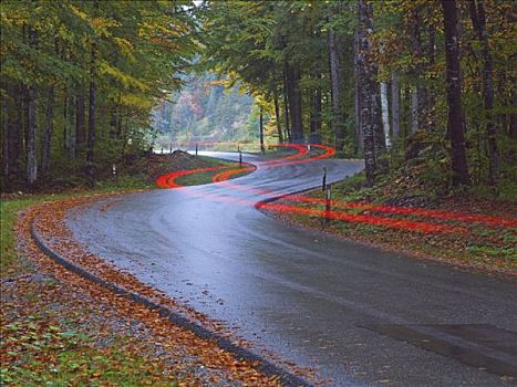 道路,光影,巴伐利亚,德国