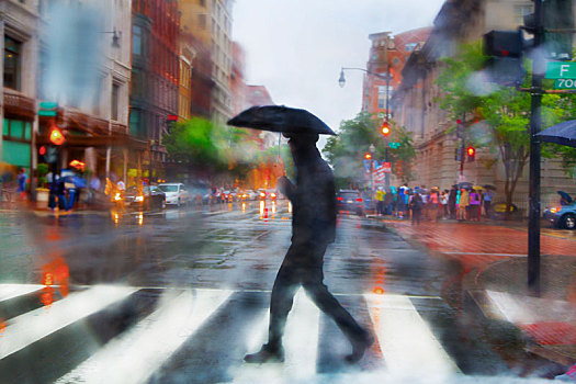 男人,伞,走,城市街道,人行横道,雨