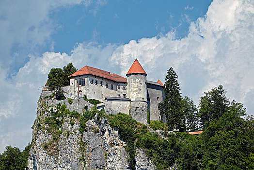 流血,城堡,斯洛文尼亚,欧洲
